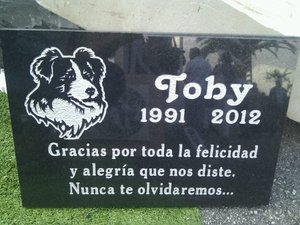 placa realizado en granito negro con grabacion de imagen y texto en color plata
