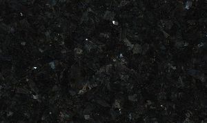 labrador oscuro