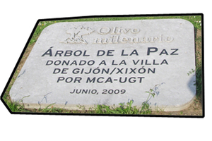 placa para el Ayuntamiento de Gijón